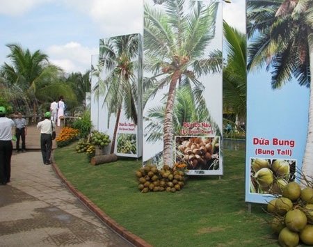 Trao 3 kỷ lục Việt Nam trong đêm bế mạc Festival Dừa 2012