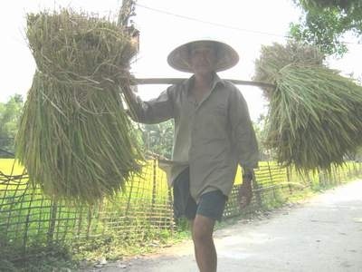 Kỳ lạ xứ đàn ông không chịu… lấy vợ