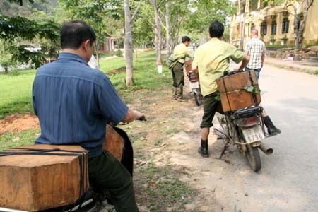 Tàn phá rừng nghiến giữa Vườn Quốc gia Ba Bể - 3 Tàn phá rừng nghiến giữa Vườn Quốc gia Ba Bể