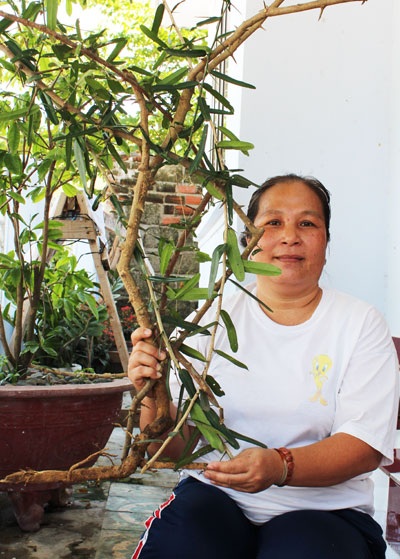 “Thần dược” chữa bách bệnh - Sự thật hay tin đồn?