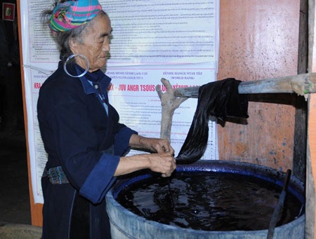 Nhuộm để có màu chàm truyền thống của dân tộc Mông đen Sa Pa. 