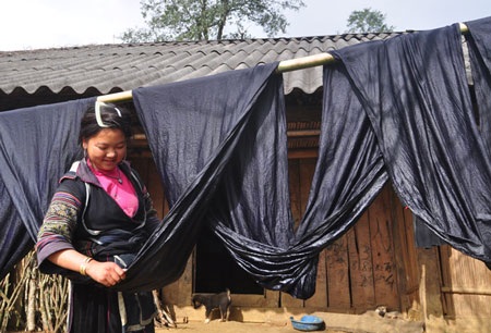 Phơi nắng cho chàm mau khô. 