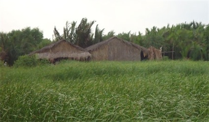 Bên kia là Phú Mỹ Hưng