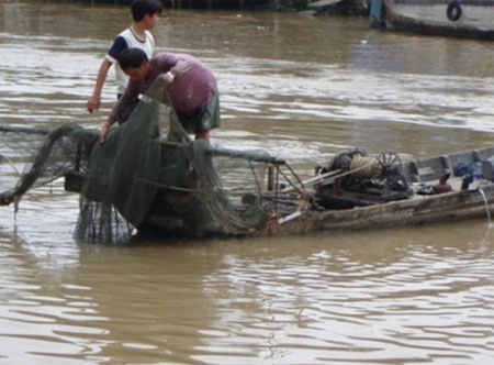 Một người dân chuyên đánh bắt thủy sản truy lùng cá cắn người nhưng không có kết quả