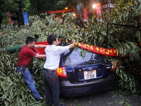 Xe ô tô bị cành cây
và cột đèn cao áp đè trên phố Tràng Thi. (Ảnh: Tuấn Nguyễn).