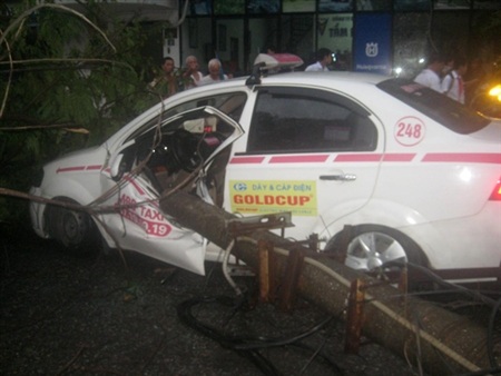 Xe bị đè nát cửa .