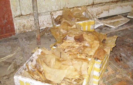 Làm vỏ xúc xích từ lòng lợn thối - 1 Lòng non, bì lợn mốc
meo, bốc mùi hôi thối