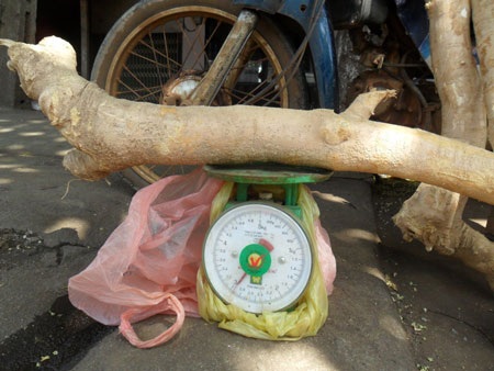 Thuốc quý được bán như… củi giữa phố - 2 Thuốc được bán theo cân với giá khá rẻ