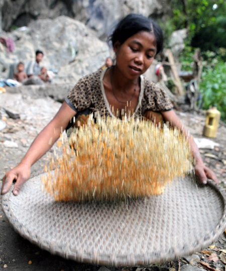 Chị Lại chuẩn bị ngô
cho bữa ăn.