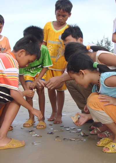 Những mảnh vỡ cổ vật trên dải cát trắng - 6 Người lớn lặn tìm dưới đáy biển, trẻ em nhặt mảnh vỡ trên bờ.