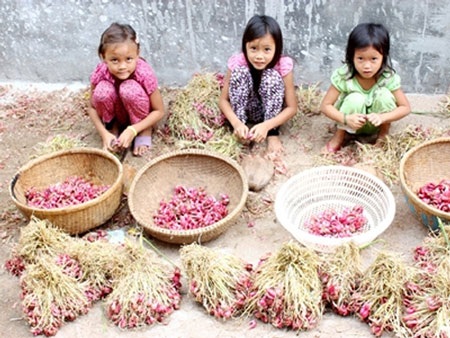 Vàng ở đảo giấu vàng - 2 Trẻ em đảo Bé. Ảnh: T.Trung.
