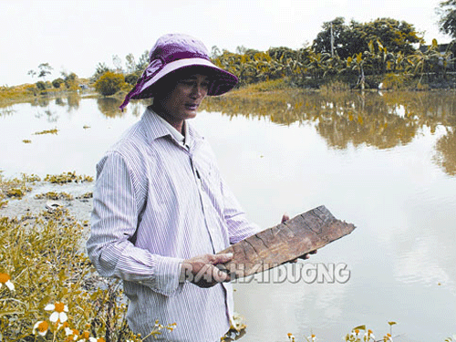 Anh Huân và mảnh gỗ
mộ cổ bị vỡ ra lúc mọi người dùng xà beng bẩy