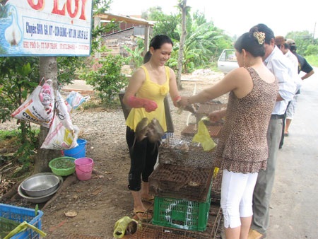Khi đàn bà miền Tây… nhậu - 2 Mua chuột về làm mồi
nhậu - chuyện không phải hiếm của phụ nữ miền Tây.