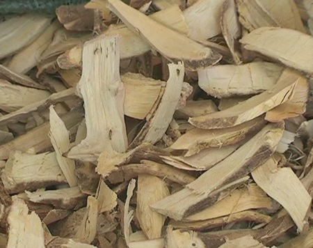 Rễ cây được người dân phơi khô bán với giá 120.000 đồng/kg