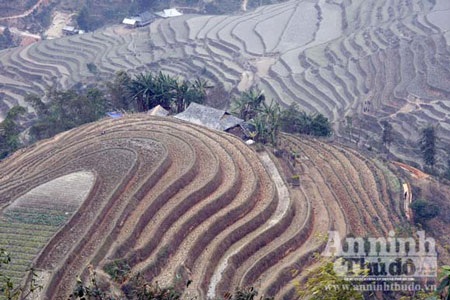 Chuyện đói - no trên thửa ruộng bậc thang được “phong hàm” di tích - 1 Nếu mùa màng, hoa
màu, rau củ được phủ bốn mùa no đủ thì quả là một tuyệt tác