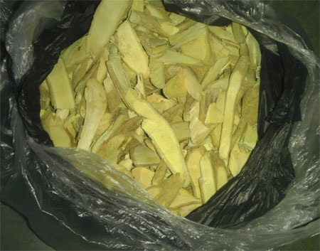 Chưa xác định được công dụng của “thuốc chữa bách bệnh” - 1 Rễ cây Xáo tam phân phơi khô