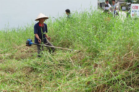 Hàng trăm cá sấu sổng chuồng, bao vây khu dân cư, trường học - 3 Truy tìm cá sấu