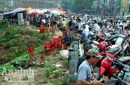 “Chợ chim 373 tỷ đồng” trên những căn nhà bỏ trống