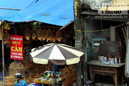 “Chợ chim 373 tỷ đồng” trên những căn nhà bỏ trống