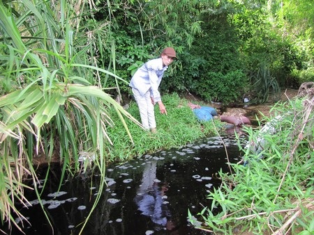 Nước suối Cây sanh đen như nước cống