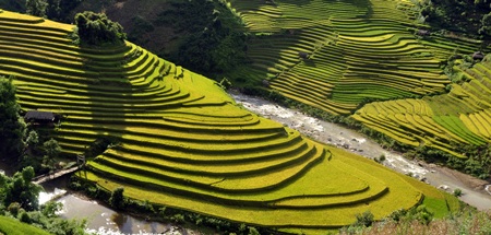 Đường đèo Cao Phạ.