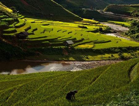 Đường đèo Cao Phạ.