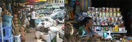 Quý bà xuất ngoại săn xuân dược - 2 Phố thuốc Urussây và những mặt hàng chủ lực được nhiều người tin là siêu dược.