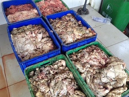 L­ượng lớn mỡ và da trâu, bò bốc mùi hôi thối, chảy nước ô nhiễm ra đường