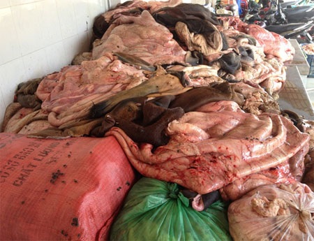 L­ượng lớn mỡ và da trâu, bò bốc mùi hôi thối, chảy nước ô nhiễm ra đường