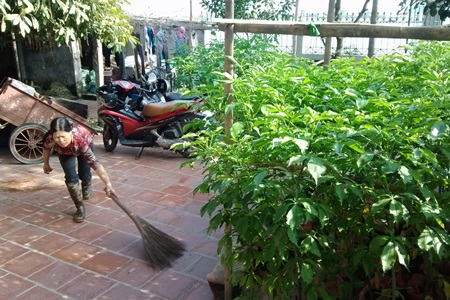 Gặp người sở hữu 108 cây Bao Báp ở... Hà Nội