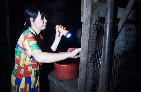 Người phụ nữ đi “săn” gián đêm - 1 Bà Kim Anh bắt gián tại chợ Bình Thới