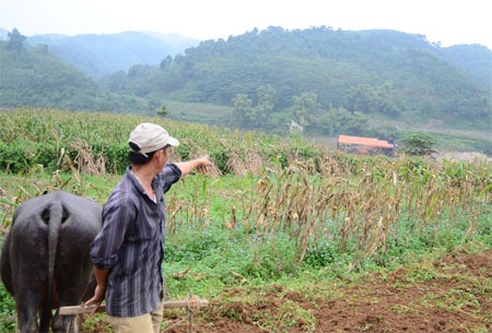 “Moi ruột” sông Hồng - 4 Người dân xã Cam Cọn (Bảo Yên) rất lo lắng trước tình trạng tàu cuốc “nuốt” bãi mầu ven sông
