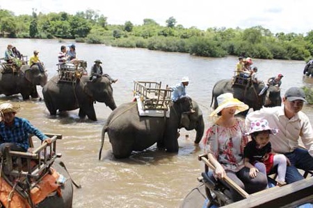 Voi được khai thác du lịch triệt để