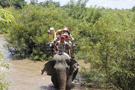 Một ngày voi nhà cõng trên mình cả chục lượt khách