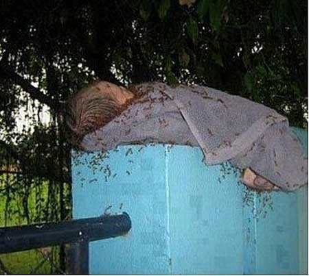 Ai đã từng khóc khi xem những bức ảnh này? - 6 Một đứa trẻ bị bỏ rơi, chỉ được bọc bằng một tấm khăn mỏng, đang bị côn trùng bò kín khắp người.