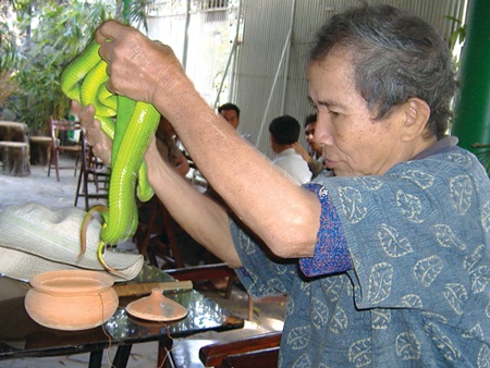 Xem rắn lục… ngoáy tai người - 1 Bỏ vào om đất bán cho khách.