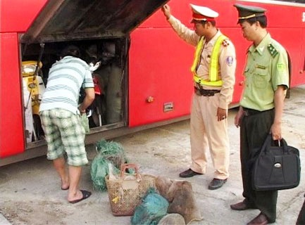 Xe khách vận chuyển 6 cá thể khỉ đuôi lợn - 1 Lực lượng chức năng kiểm tra xe và phát hiện 6 cá thể khỉ đuôi lợn (Ảnh: Báo TT - Huế).