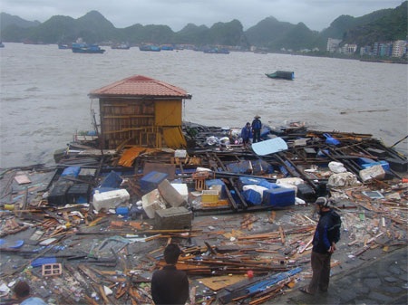 Bão xé đảo Cát Bà - Hải Phòng (ảnh: Anh Thế)