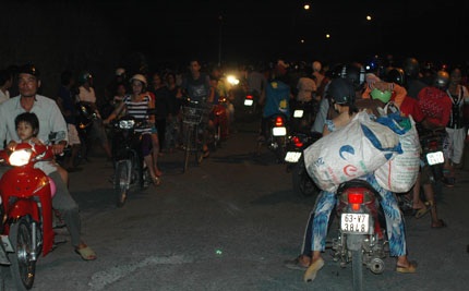 Cả tỉnh xôn xao vì hàng vạn con chim én bay về “tập kết”
