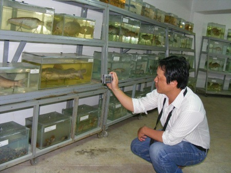 Độc đáo bộ sưu tập hơn 1.000 con cá sắp... biến mất - 1 Độc đáo bộ sưu tập hơn 1.000 con cá sắp... biến mất