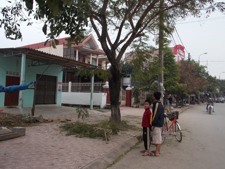 Chặt cây, một người rớt xuống đất tử vong - 1 Hiện trường vụ tai nạn