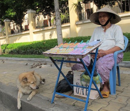Chuyện bà cụ bán vé số cùng chú chó và đàn chim sẻ - 2 Cụ Sao, chú chó và đàn chim sẻ