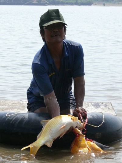 Ông khiếm thị chuyên… cứu người, vớt xác - 2 Chiếc phao là công cụ giúp ông Phước mưu sinh trên sông nước