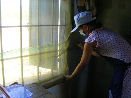 Ruồi nhặng bâu đầy… trường mầm non - 5 Bịt lưới vào cửa sổ ngăn ruồi nhặng