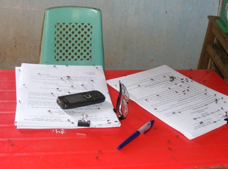 Ruồi nhặng bâu đầy… trường mầm non - 2 Ruồi nhặng bâu đầy trong trường, từ phòng học tới nhà bếp