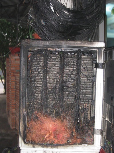 Cả hệ thống cáp quang tê liệt vì… một chú chim sáo - 4 Thùng chứa dữ liệu cáp quang bị cháy rụi