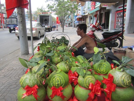 Bưởi hồ lô ế khách, rớt giá thảm hại - 1 Bưởi hồ lô ế khách, rớt giá thảm hại