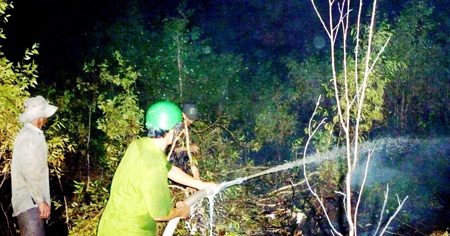 Phạm nhân đốt cỏ gây cháy tại trại giam - 1 Đám cháy đã được dập tắt