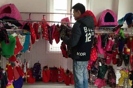 Hấp dẫn với váy áo chó mèo