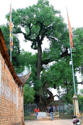 Hai “báu vật” phủ Lạng Thương - 8 Hai “báu vật” phủ Lạng Thương